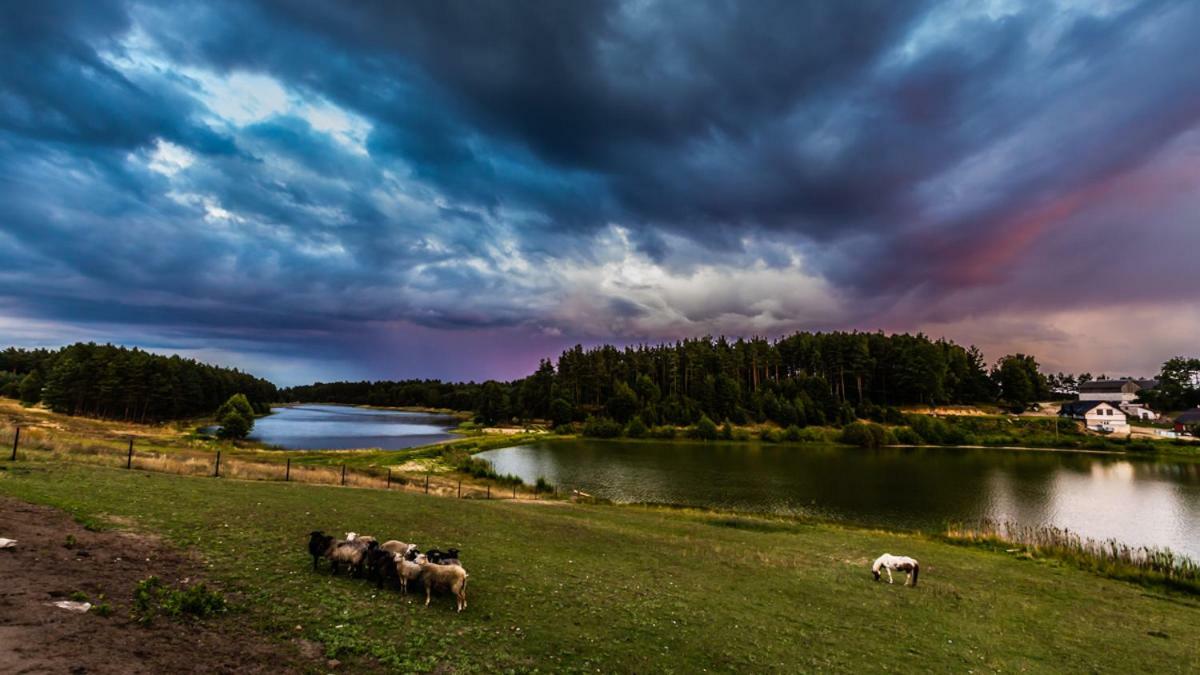 Gospodarstwo Agroturystyczne Cyrson Studzienice Extérieur photo